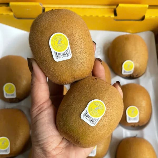 Kiwi Vàng Đài Loan